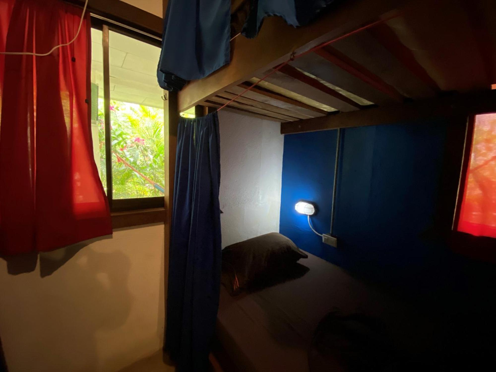Playa 506 Beachfront Hostel Puerto Viejo de Talamanca Номер фото