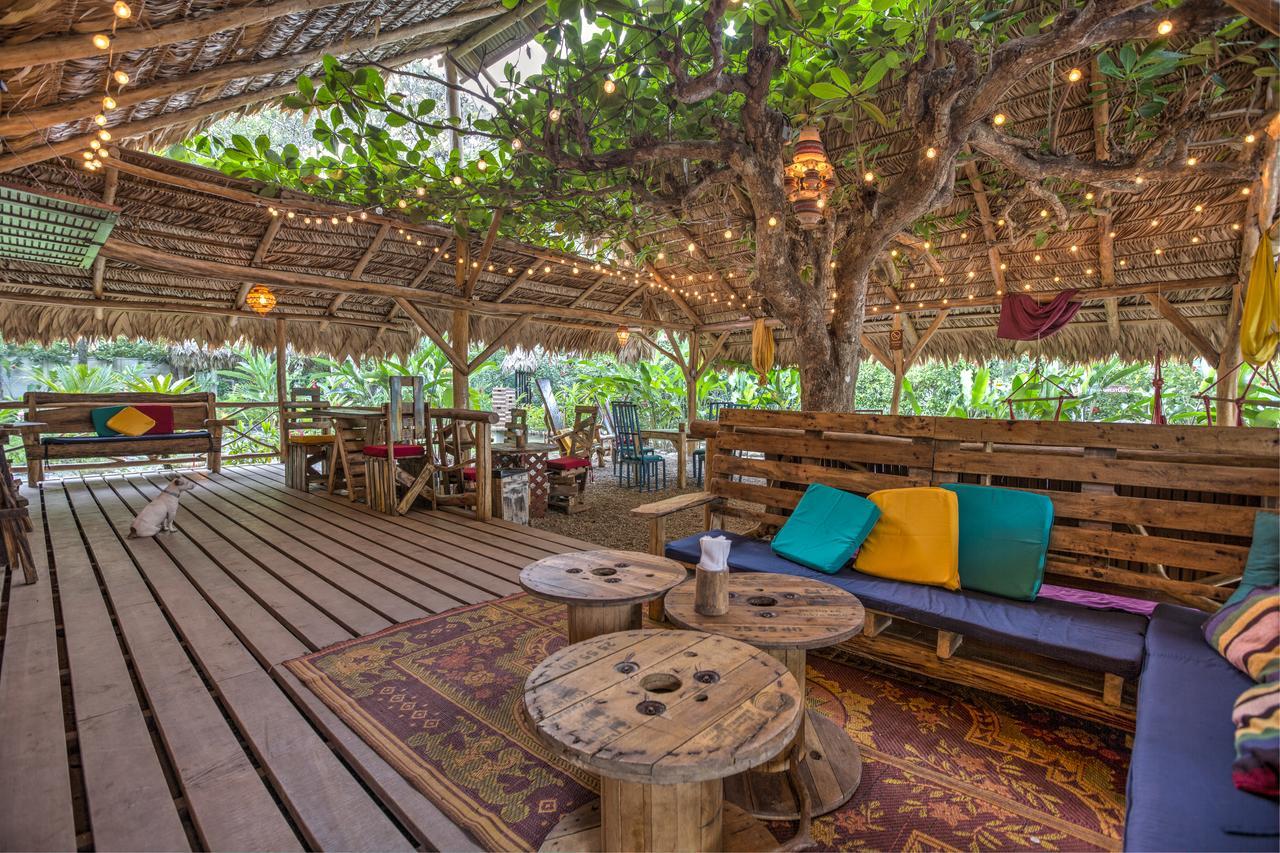 Playa 506 Beachfront Hostel Puerto Viejo de Talamanca Экстерьер фото