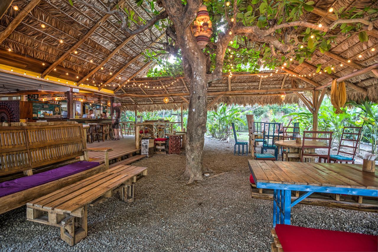 Playa 506 Beachfront Hostel Puerto Viejo de Talamanca Экстерьер фото
