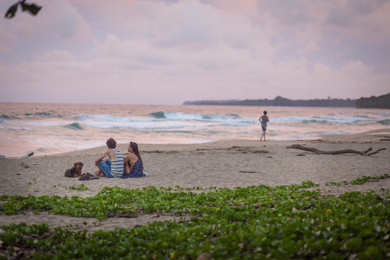 Playa 506 Beachfront Hostel Puerto Viejo de Talamanca Экстерьер фото