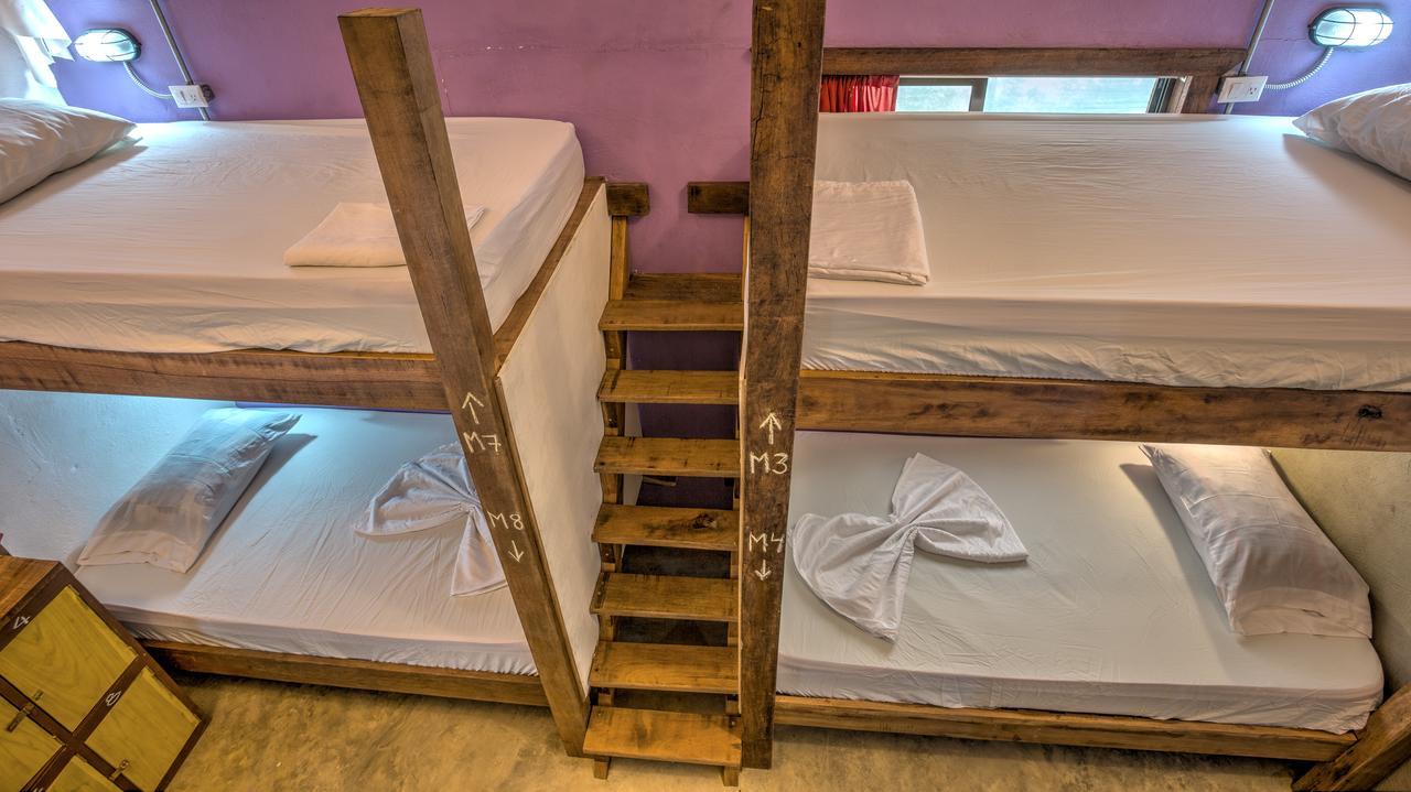 Playa 506 Beachfront Hostel Puerto Viejo de Talamanca Экстерьер фото