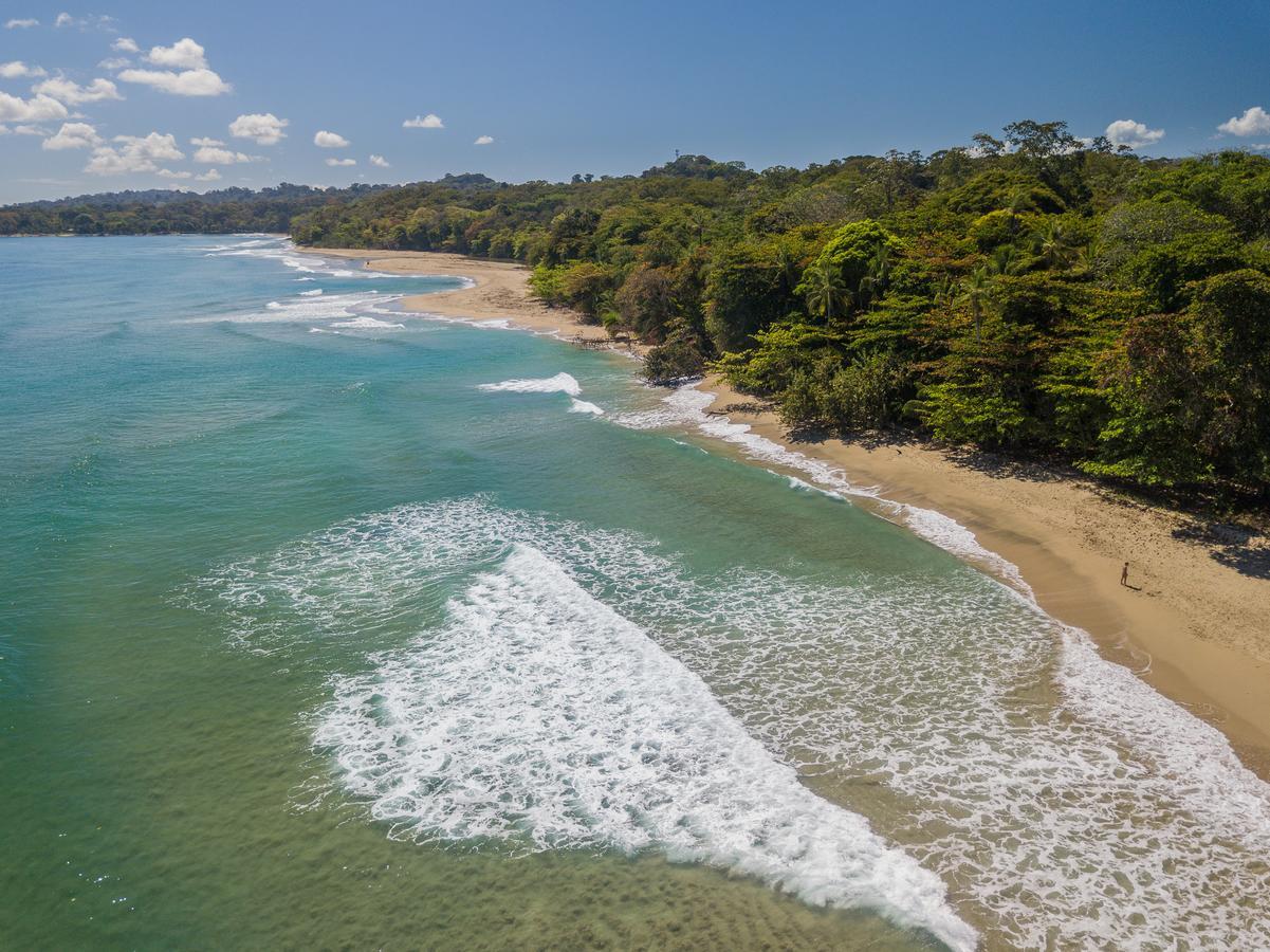 Playa 506 Beachfront Hostel Puerto Viejo de Talamanca Экстерьер фото